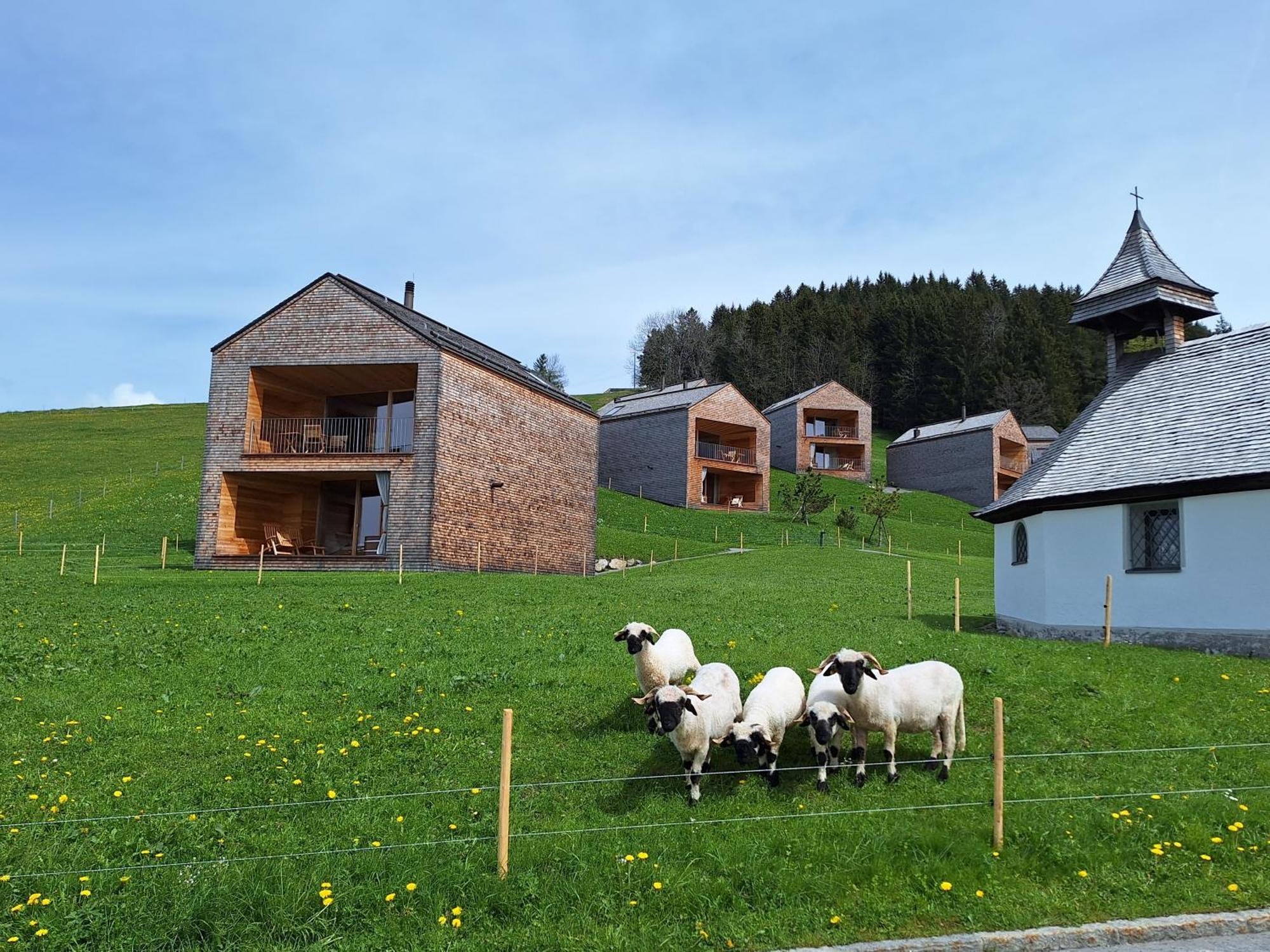 Apartment Rheintal Im Alpenvorland Batschuns Esterno foto