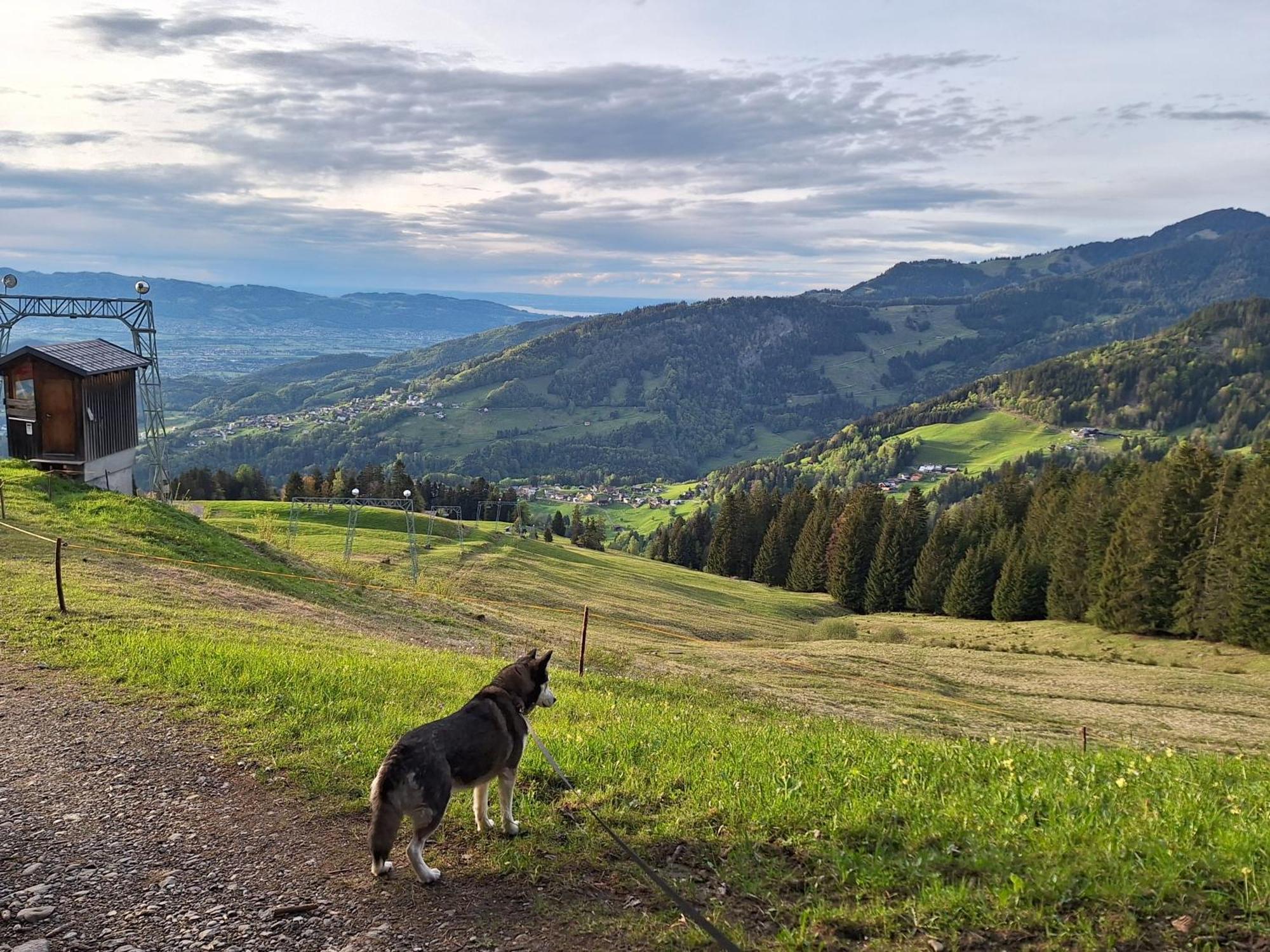 Apartment Rheintal Im Alpenvorland Batschuns Esterno foto