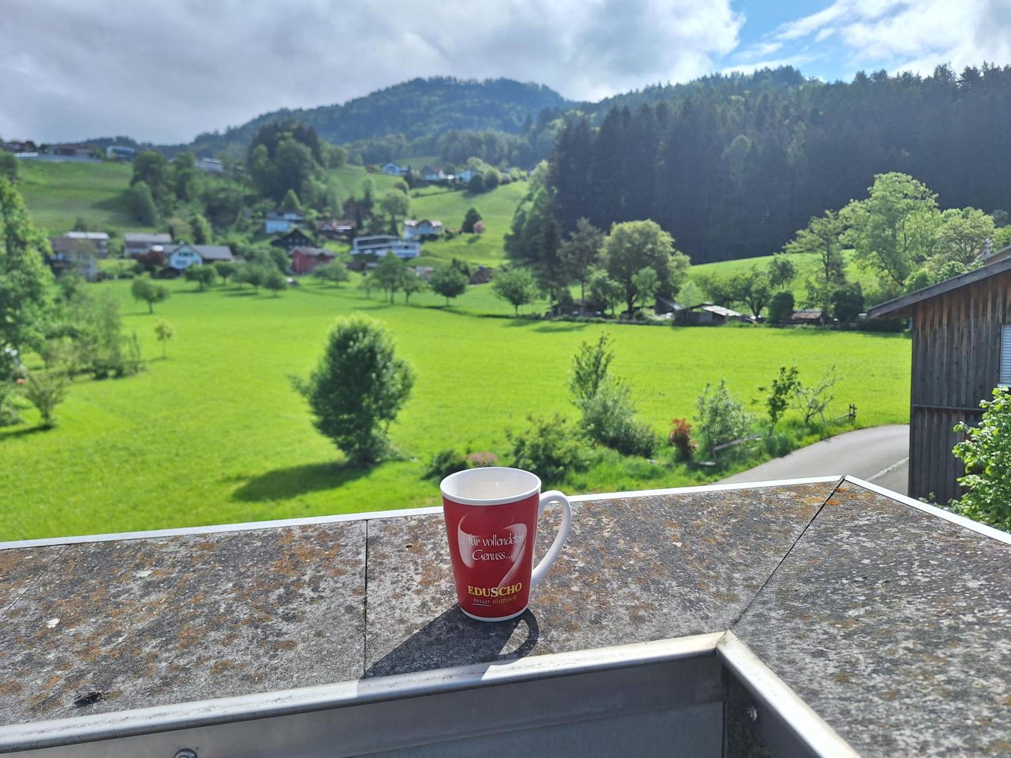 Apartment Rheintal Im Alpenvorland Batschuns Esterno foto