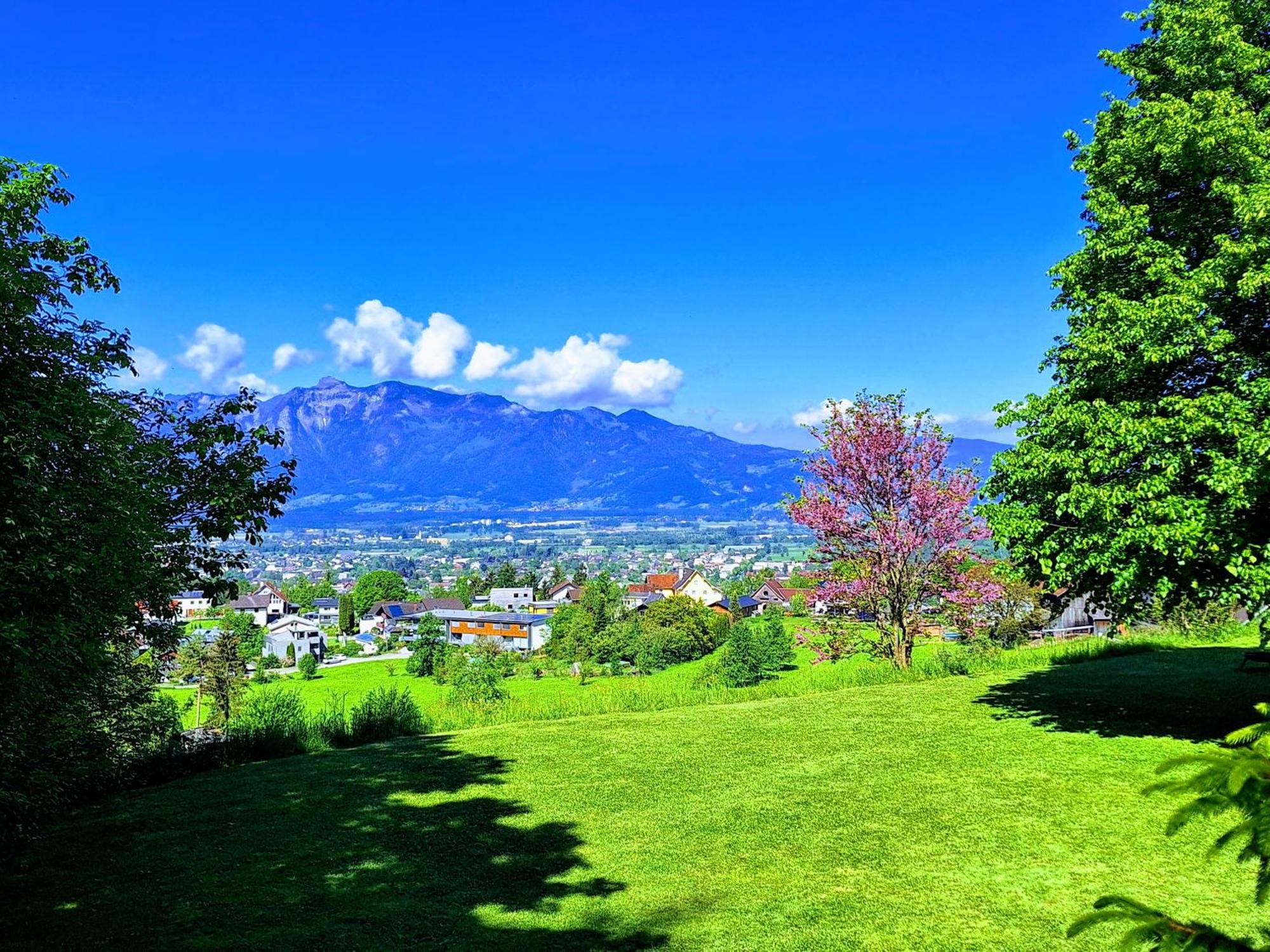 Apartment Rheintal Im Alpenvorland Batschuns Esterno foto